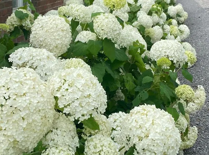 Gut Gross Fedderwarden, Emma Butjadingen