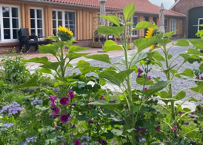 Gut Gross Fedderwarden, Emma Appartement Butjadingen