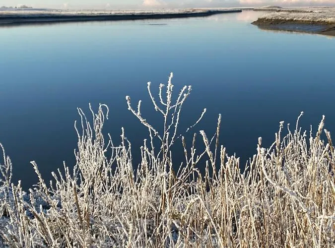 Gut Gross Fedderwarden, Emma *