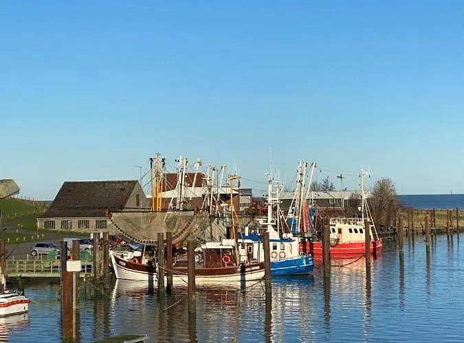 Gut Gross Fedderwarden, Emma * Butjadingen